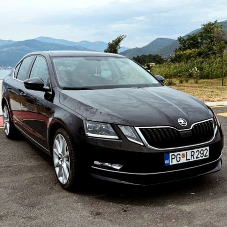 Skoda Octavia 1.6 TDI Business